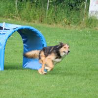 Hoopersturn 12