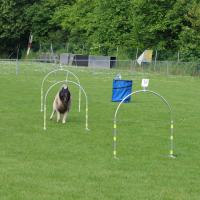 Hoopersturn 15